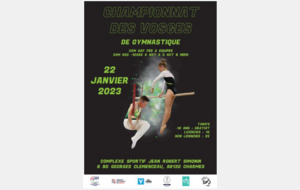 Championnat des Vosges équipes Fédéral A GAF et individuel GAM